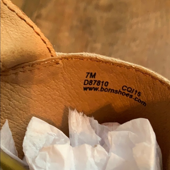 Born wedges - Picture 6 of 8